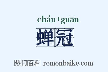 蝉冠是什么意思的图片